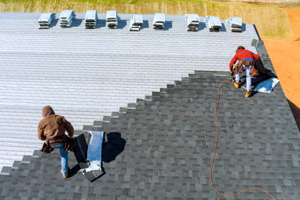 Best Metal Roofing Contractor  in Baidland, PA